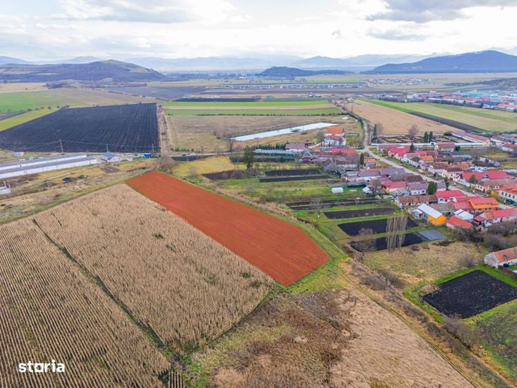 Teren extravilan Bod, 10.000 mp, acces DE 290, zona spre Harman - 8