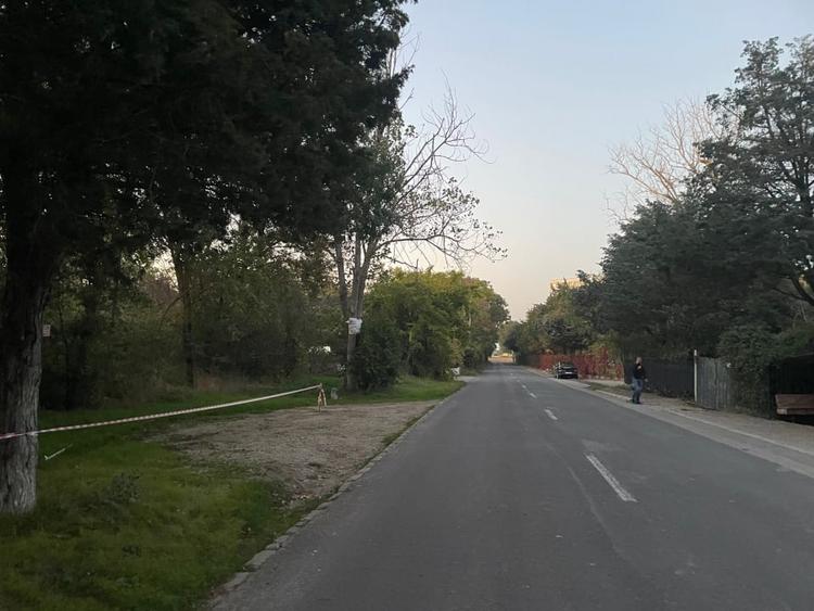 Teren intravilan construibil – 1.000 mp | Jupiter – Sat Vacanta Zodiac - 2