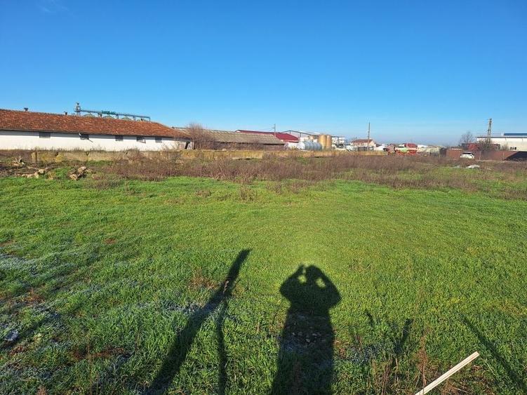 Teren de 6285 mp, în Tărian