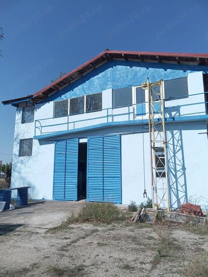 Teren de 2500 mp, în Tismana