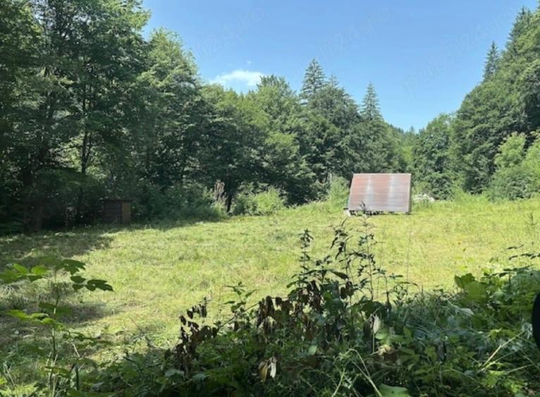 Teren intravilan de 3275 mp, în Tarcău