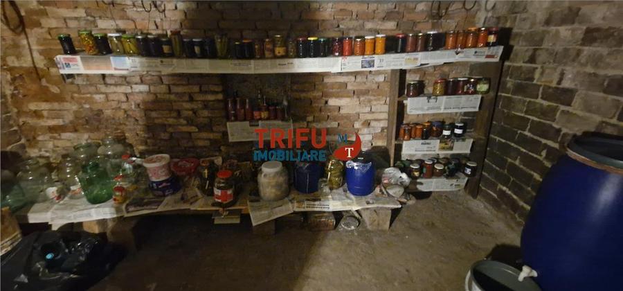 Casă individuală cu 4 camere cu Canalizare în Șeușa