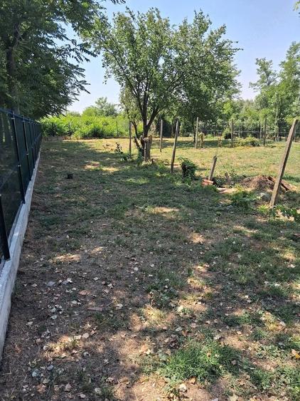 Casă cu Teren 1500 Mp în Orbeasca