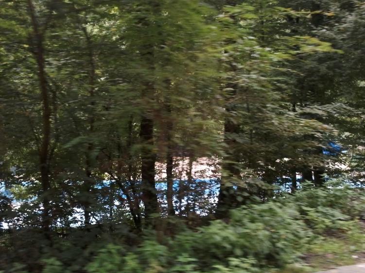 Teren agrement padure langa Strandul Termal Caciulata - 2