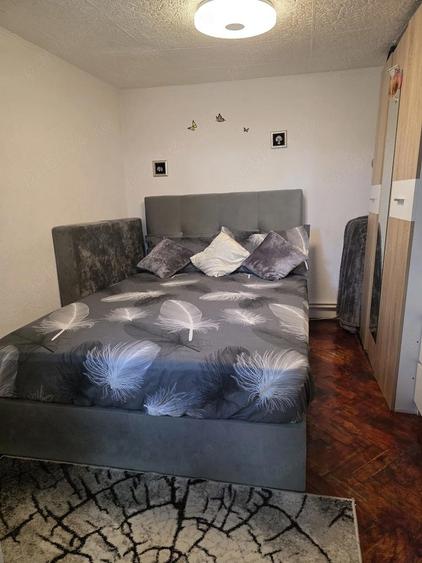 Casa la curte mobilata - 2