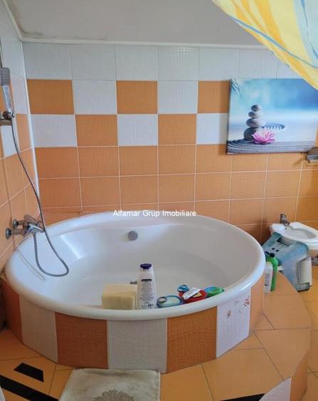 Vanzare proprietate cu 2 case Zurbaua- Dragomiresti Vale - 5