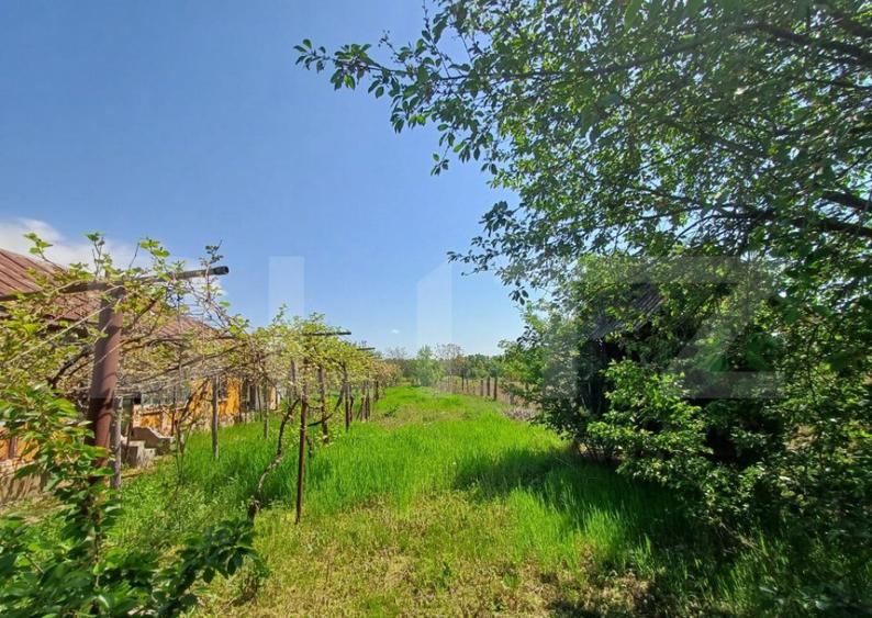 Teren de vanzare, 7300 mp, zona Danesti - 1