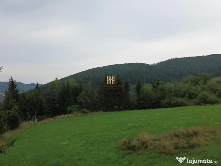 Teren 5023 mp In Bucovina Zona Manastirea Voronet De 07278 - 5