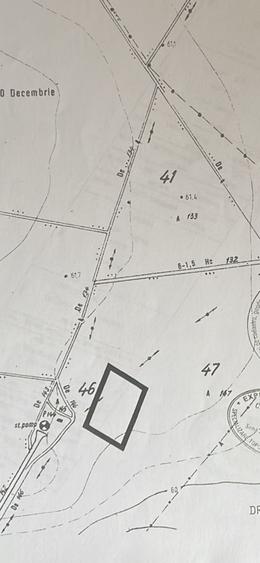 1 Decembrie Strda Pinului 5000m - 9