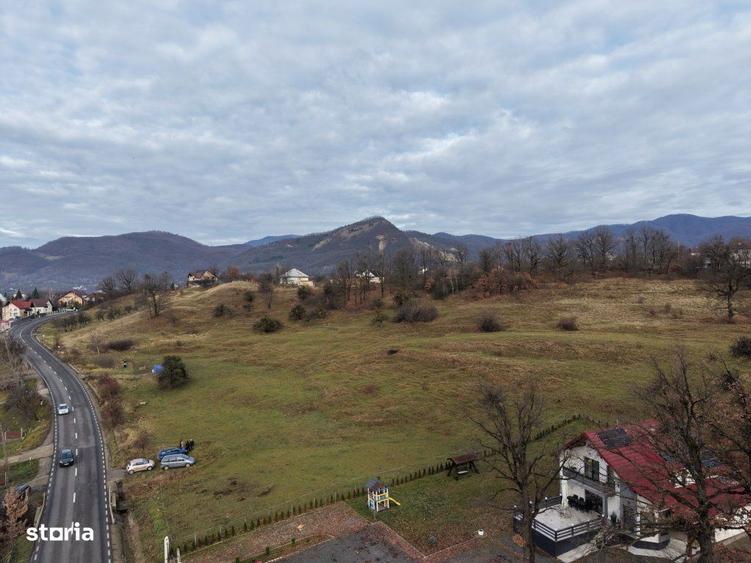 Teren Sisesti la soseaua principala ,langa pensiunea Madlene ,1 ha - 4