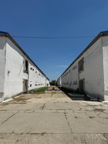 Hala | Spatiu depozitare, productie de inchiriat | Les, Bihor - 4