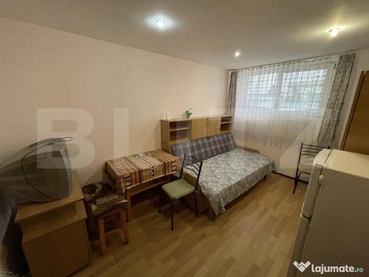 Garsoniera de vanzare, 16.21 mp, Calea Severinului - Brico - 1