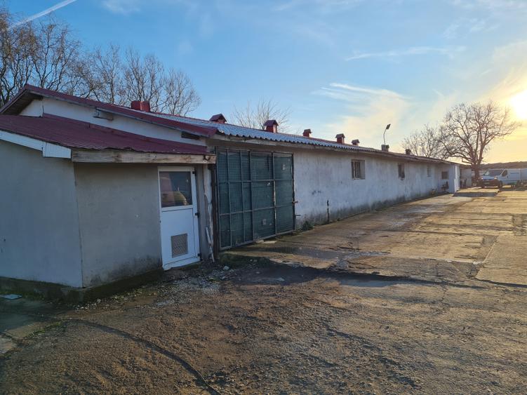 Hale de vanzare- suprafata 500 mp - Zona Dirvari- Ciorogarla - 1