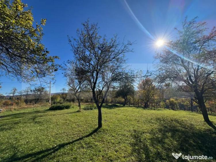 Teren extravilan 2000mp in Tarsa - 2