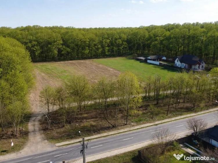 Exclusivitate-proiect unic in Padurea Snagov! Loturi teren 400-600 mp. - 7