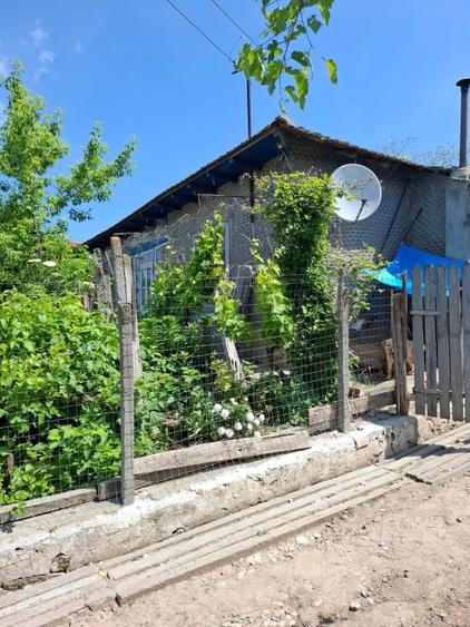 Casă de vânzare în Dunăreni, com. Aliman – Gospodărie completă, mobilată  - 8