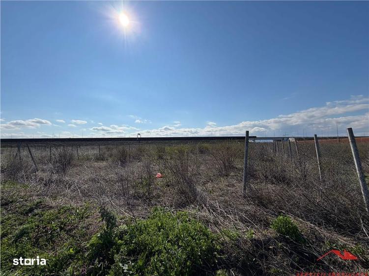 Teren intravilan 700mp in zona de Nord de vanzare - 4