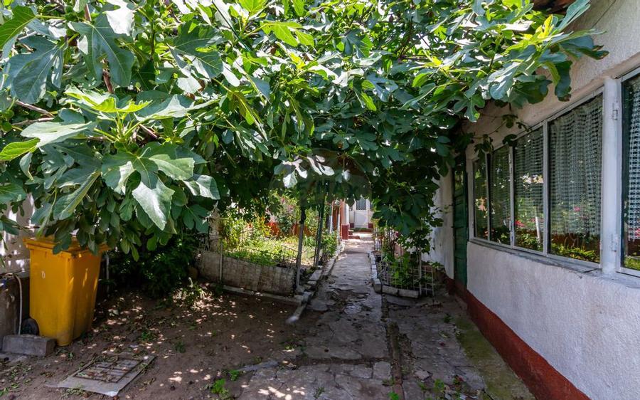 Teren de vanzare strada Frunzei | Piata Muncii - 3