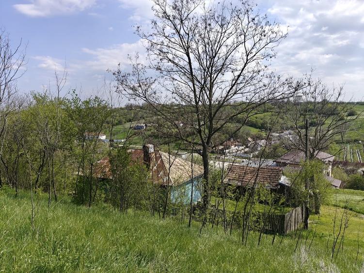 Casă cu 3 camere cu Teren 10300 Mp în Central