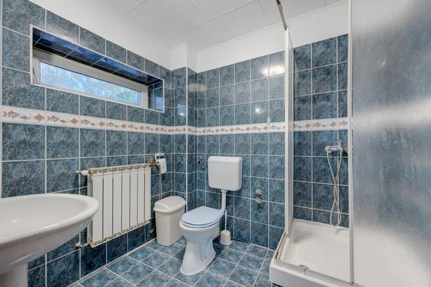 Vila de vanzare Domenii-Ion Mihalache - 17