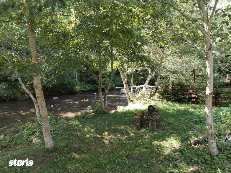Vand teren Valea Ilvei - Lunca Bradului Parcul National Calimani - 5