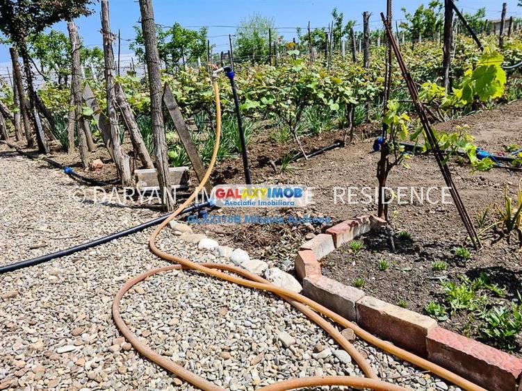 Teren in Poienari Apostoli, 21 E mp, Avantajos, DN1, 34.500 euro - 9