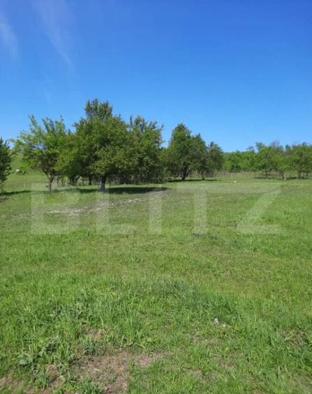 Teren intravilan de vanzare, 28 de ari, zona Herina, Bistrit - 3