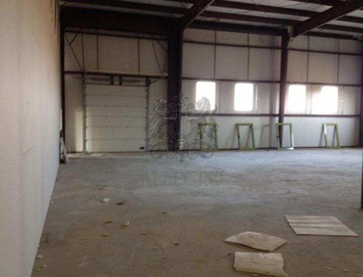 Hala | Soseaua Odai | Mogosoaia | (350 mp depozit / 236 mp birou) - 9