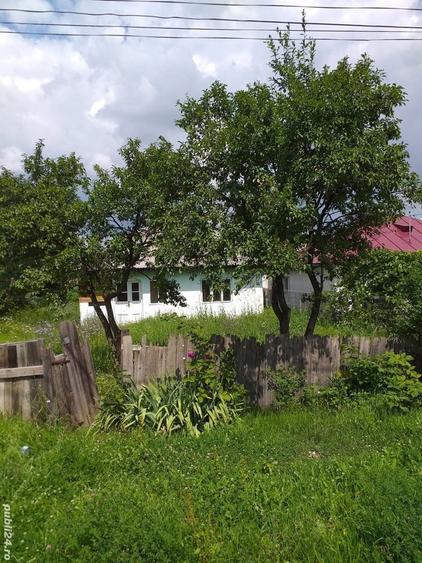 Casa in Ardeoani plus doua hectare de padure - 4