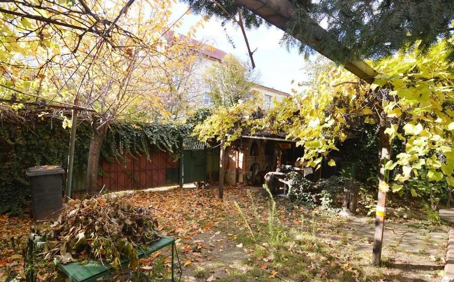 Garsoniera Baba Novac | Curte Proprie | Localizare Excelenta - 10