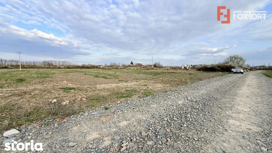 Parcele de teren, intre 502 si 622 mp cu utilitati - Bucovat - 3