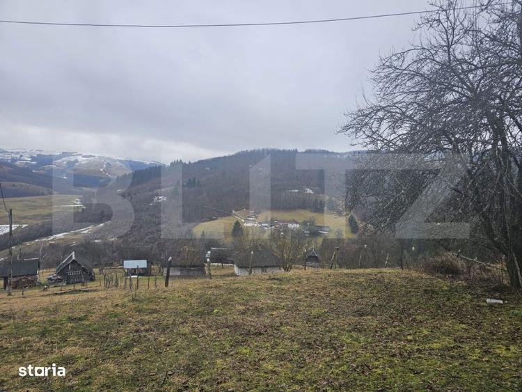 Casa de munte cu teren generos de 7.297 mp, Daroaia, comuna Rosia Mont - 11
