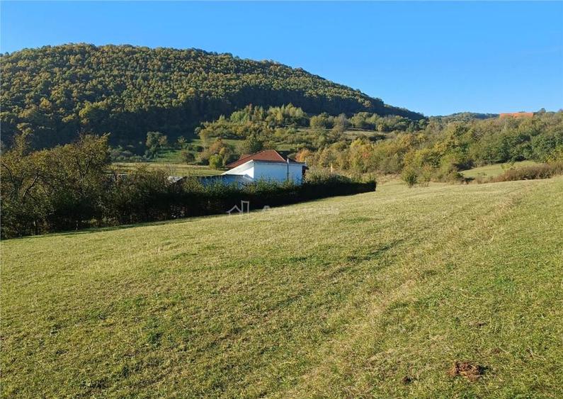 Teren de in Rasinari posibilitate de racordare la curentul - 6