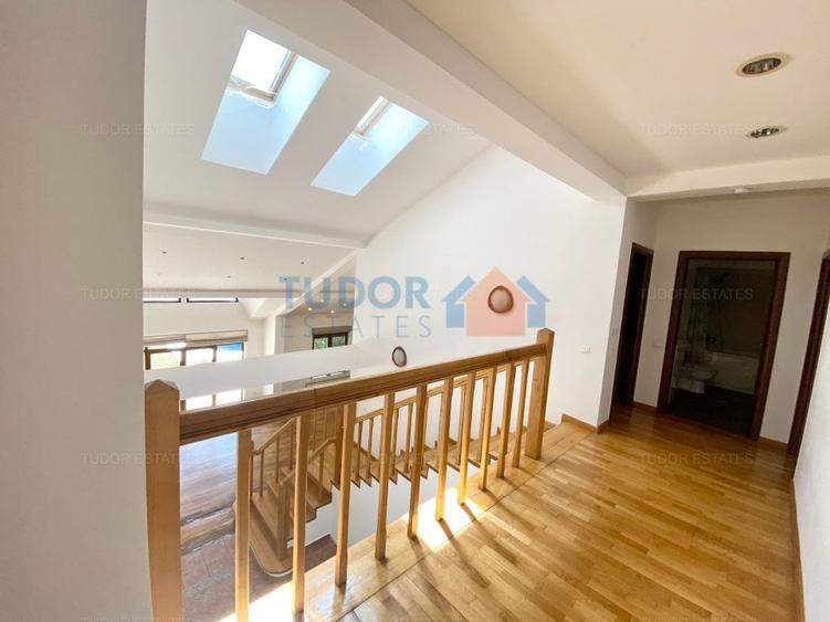 Vila cu piscina Iancu Nicolae - 16