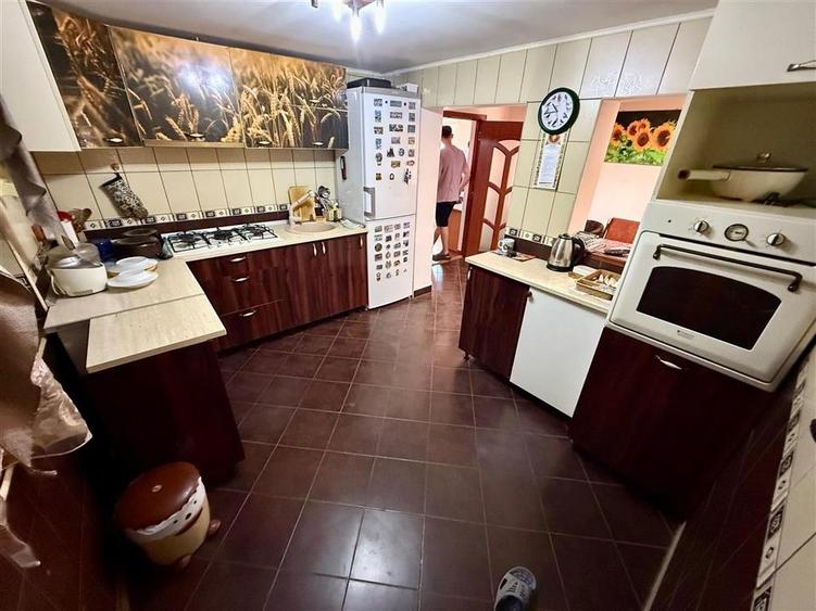 Lunca Cetatuii - Casa individuala 4 camere - la 200 m de Drumul judetean - 10