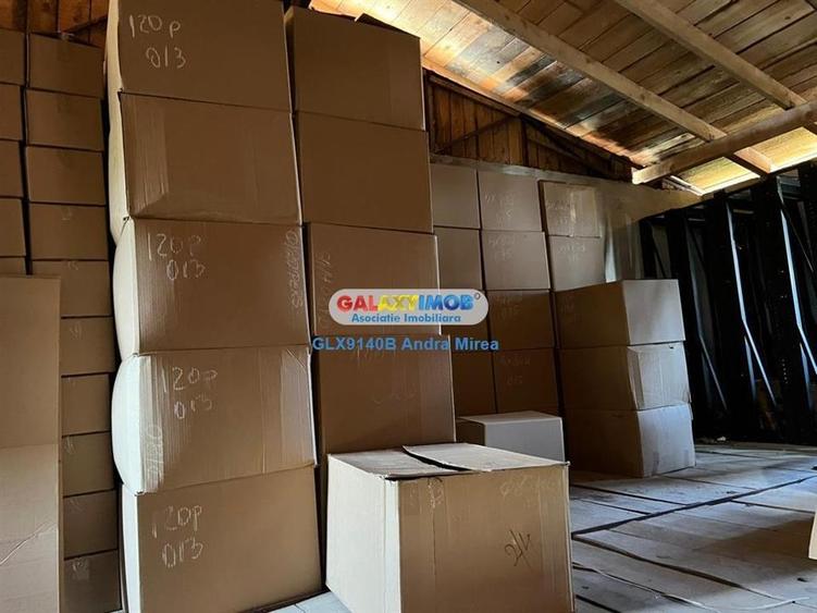 Inchiriere hala industriala Moara Vlasiei 2 IMOBILE - 12