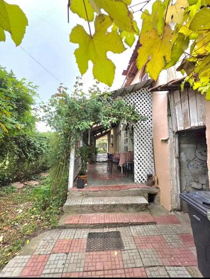 Teren 6762 mp +casa Les - 8