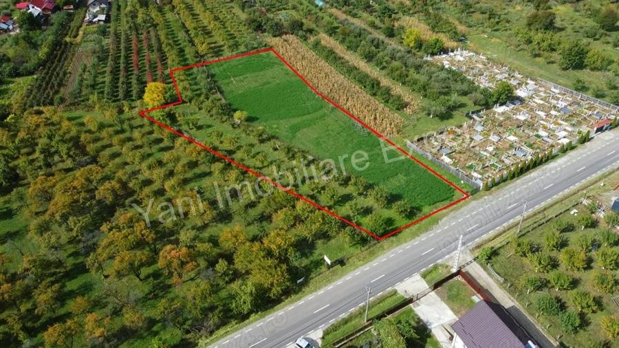 Teren de vanzare in comuna Corbeni, sat Oe?tii Pamanteni, jude? Arge?. - 8