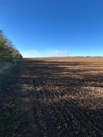 Magnolia Village | Teren 30.000 mp perfect pentru dezvoltare - 6