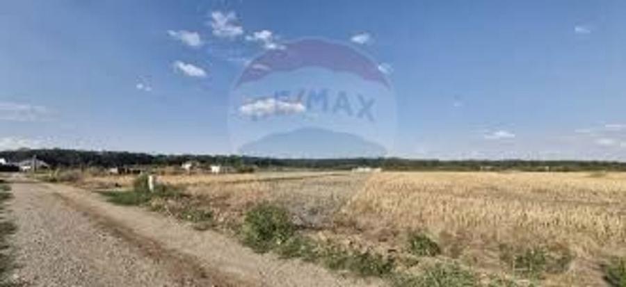 Teren intravilan 3,261mp Balotesti / Strada Rozelor - 2