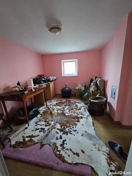 Casa cu teren 1405 mp la Sambateni - 6