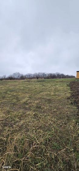 Teren intravilan Chicerea - Tomesti - 656 mp + acces, langa padure - 2