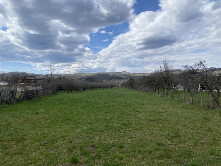 Berevoesti, Arges - 8