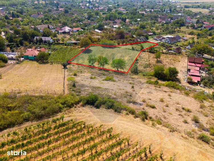 Mini?- destina?ia ideala pentru o resedin?a de lux in inima naturii. - 8