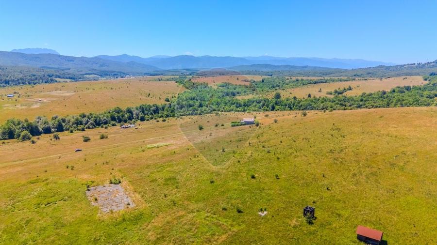 COMISION 0% Teren de 1690 mp/ proiectul LaDumbrava/PLATA IN RATE - 4