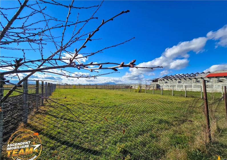 Proprietate autentica spatiu gospodaresc,1800mp,Araci,Covasn - 10