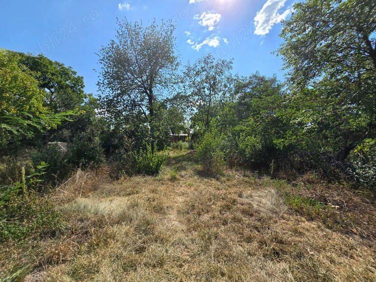 Vila P+1 Zona Savinesti - 9