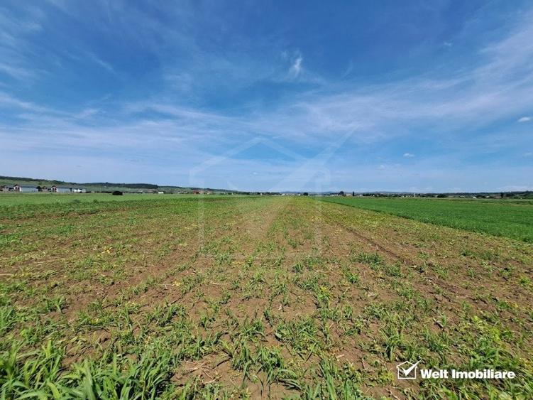 Vanzare Teren Extravilan, Jucu de mijloc, Oportunitare de Investitie - 2