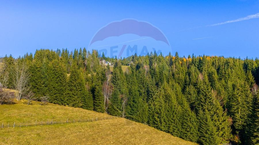 COMISION 0% Teren 13,800mp Fundatica / Intravilan - 17