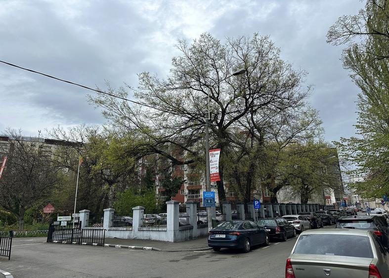 Diplomat BC, Sevastopol 13-17  - comision 0%, reprezentam proprietarul! - 7